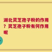 湖北灵芝孢子粉的作用？灵芝孢子粉有何作用呢