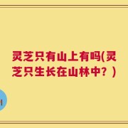 灵芝只有山上有吗(灵芝只生长在山林中？)