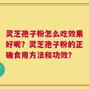 灵芝孢子粉怎么吃效果好呢？灵芝孢子粉的正确食用方法和功效？