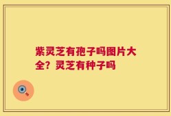紫灵芝有孢子吗图片大全？灵芝有种子吗