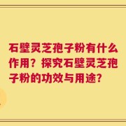 石壁灵芝孢子粉有什么作用？探究石壁灵芝孢子粉的功效与用途？