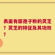 表面有层孢子粉的灵芝？灵芝的特征及其功效？