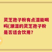 灵芝孢子粉有点湿能喝吗(潮湿的灵芝孢子粉是否适合饮用？