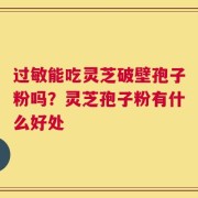 过敏能吃灵芝破壁孢子粉吗？灵芝孢子粉有什么好处