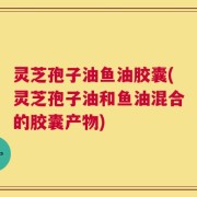 灵芝孢子油鱼油胶囊(灵芝孢子油和鱼油混合的胶囊产物)