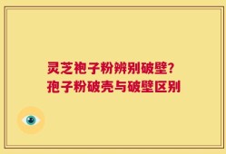 灵芝袍子粉辨别破壁？孢子粉破壳与破壁区别