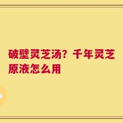 破壁灵芝汤？千年灵芝原液怎么用