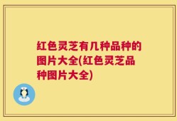 红色灵芝有几种品种的图片大全(红色灵芝品种图片大全)