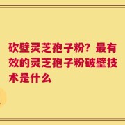 砍壁灵芝孢子粉？最有效的灵芝孢子粉破壁技术是什么