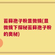 苔藓孢子粉显微镜(显微镜下探秘苔藓孢子粉的奥秘)