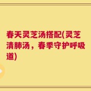 春天灵芝汤搭配(灵芝清肺汤，春季守护呼吸道)