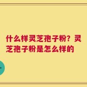 什么样灵芝孢子粉？灵芝孢子粉是怎么样的