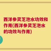 西洋参灵芝泡水功效和作用(西洋参灵芝泡水的功效与作用)