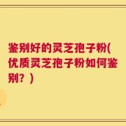鉴别好的灵芝孢子粉(优质灵芝孢子粉如何鉴别？)