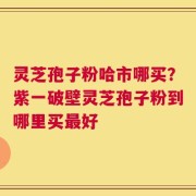 灵芝孢子粉哈市哪买？紫一破壁灵芝孢子粉到哪里买最好