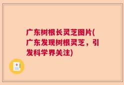 广东树根长灵芝图片(广东发现树根灵芝，引发科学界关注)