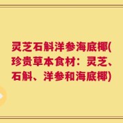 灵芝石斛洋参海底椰(珍贵草本食材：灵芝、石斛、洋参和海底椰)