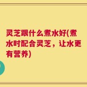 灵芝跟什么煮水好(煮水时配合灵芝，让水更有营养)