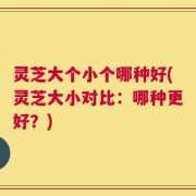 灵芝大个小个哪种好(灵芝大小对比：哪种更好？)