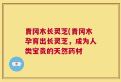 青冈木长灵芝(青冈木孕育出长灵芝，成为人类宝贵的天然药材