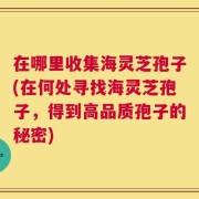 在哪里收集海灵芝孢子(在何处寻找海灵芝孢子，得到高品质孢子的秘密)