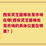 西安灵芝菌棒批发市场在哪(西安灵芝菌棒批发市场的具体位置在哪里？)