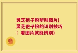 灵芝孢子粉辨别图片(灵芝孢子粉的识别技巧：看图片就能辨别)