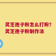 灵芝孢子粉怎么打粉？灵芝孢子粉制作法