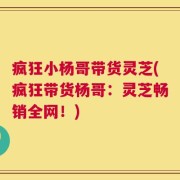 疯狂小杨哥带货灵芝(疯狂带货杨哥：灵芝畅销全网！)