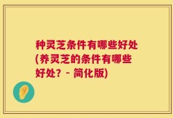 种灵芝条件有哪些好处(养灵芝的条件有哪些好处？- 简化版)