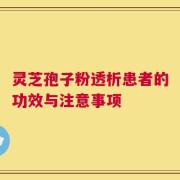 灵芝孢子粉透析患者的功效与注意事项