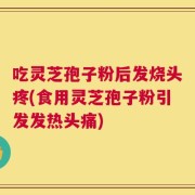 吃灵芝孢子粉后发烧头疼(食用灵芝孢子粉引发发热头痛)