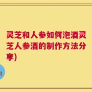 灵芝和人参如何泡酒灵芝人参酒的制作方法分享)