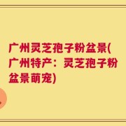 广州灵芝孢子粉盆景(广州特产：灵芝孢子粉盆景萌宠)