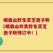 峨眉山野生灵芝孢子粉(峨眉山珍贵野生灵芝孢子粉预订中！)
