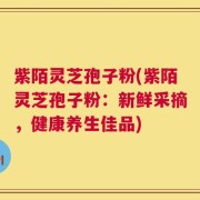 紫陌灵芝孢子粉(紫陌灵芝孢子粉：新鲜采摘，健康养生佳品)