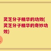灵芝分子精华的功效(灵芝分子精华的奇妙功效)