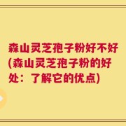 森山灵芝孢子粉好不好(森山灵芝孢子粉的好处：了解它的优点)