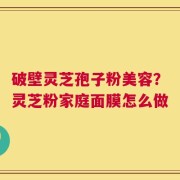 破壁灵芝孢子粉美容？灵芝粉家庭面膜怎么做