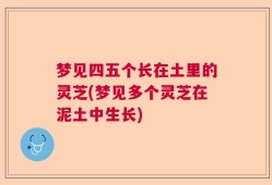 梦见四五个长在土里的灵芝(梦见多个灵芝在泥土中生长)