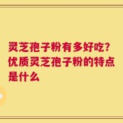 灵芝孢子粉有多好吃？优质灵芝孢子粉的特点是什么