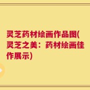 灵芝药材绘画作品图(灵芝之美：药材绘画佳作展示)
