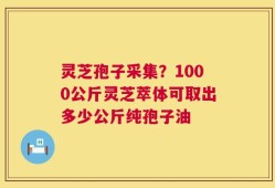 灵芝孢子采集？1000公斤灵芝萃体可取出多少公斤纯孢子油