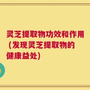 灵芝提取物功效和作用 (发现灵芝提取物的健康益处)
