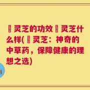 焄灵芝的功效焄灵芝什么样(焄灵芝：神奇的中草药，保障健康的理想之选)