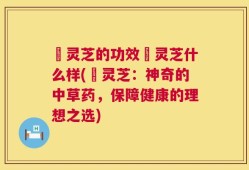 焄灵芝的功效焄灵芝什么样(焄灵芝：神奇的中草药，保障健康的理想之选)