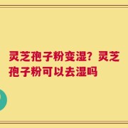灵芝孢子粉变湿？灵芝孢子粉可以去湿吗