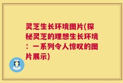 灵芝生长环境图片(探秘灵芝的理想生长环境：一系列令人惊叹的图片展示)