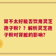 肾不太好能否饮用灵芝孢子粉？？解析灵芝孢子粉对肾脏的影响？