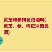 灵芝和参枸杞泡酒吗(灵芝、参、枸杞冲泡美酒)